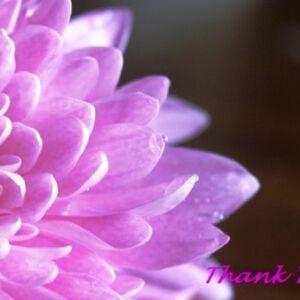 WOMEN'S 2X TOPS NWOT $5 EACH OR ALL $25